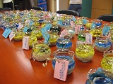 photo 008
